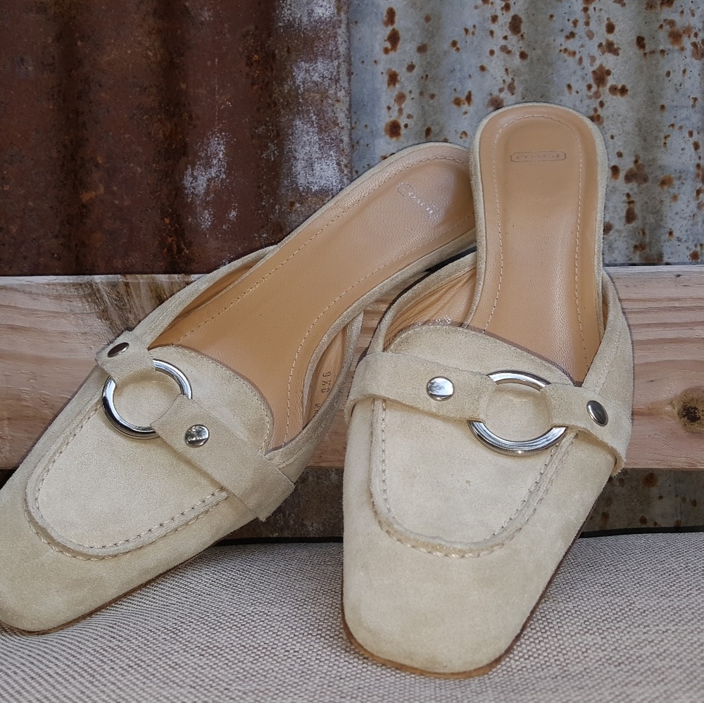 Coach slides